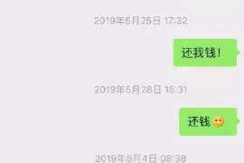 定兴为什么选择专业追讨公司来处理您的债务纠纷？